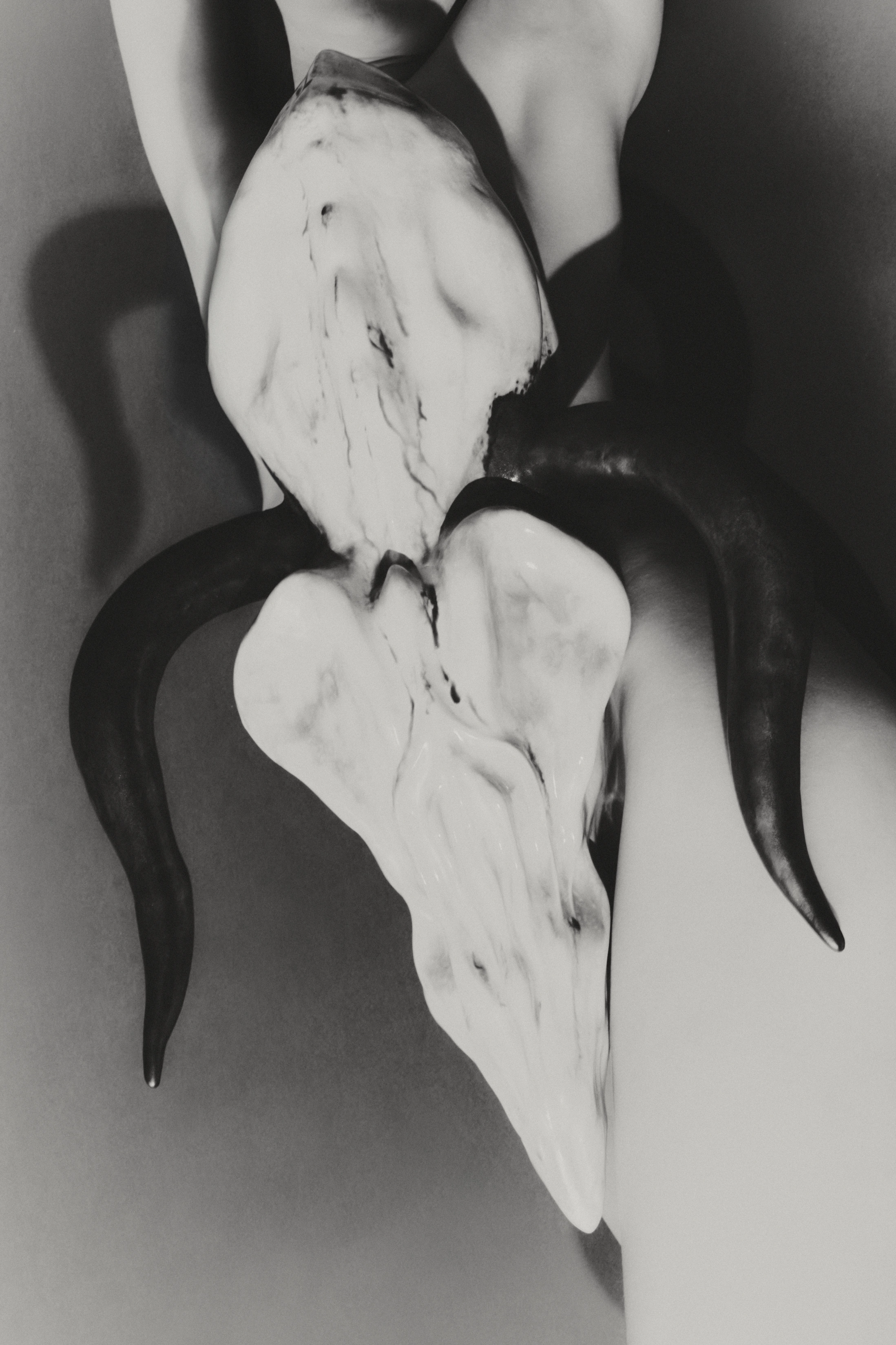 CORE — photo project (placeholder)