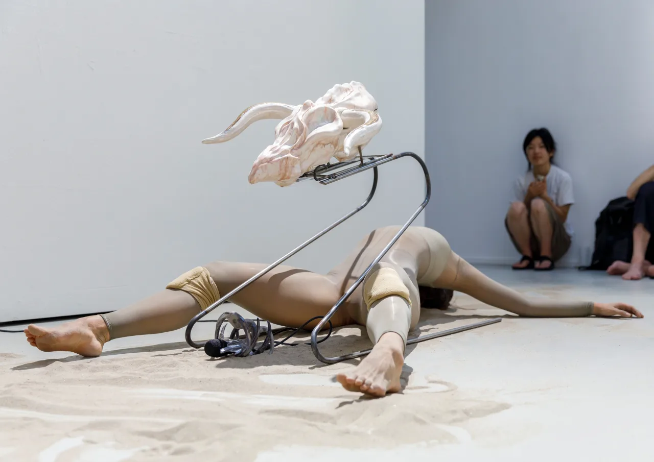 Elephant Woman: A History of Uploaded SELF ? installation view 1