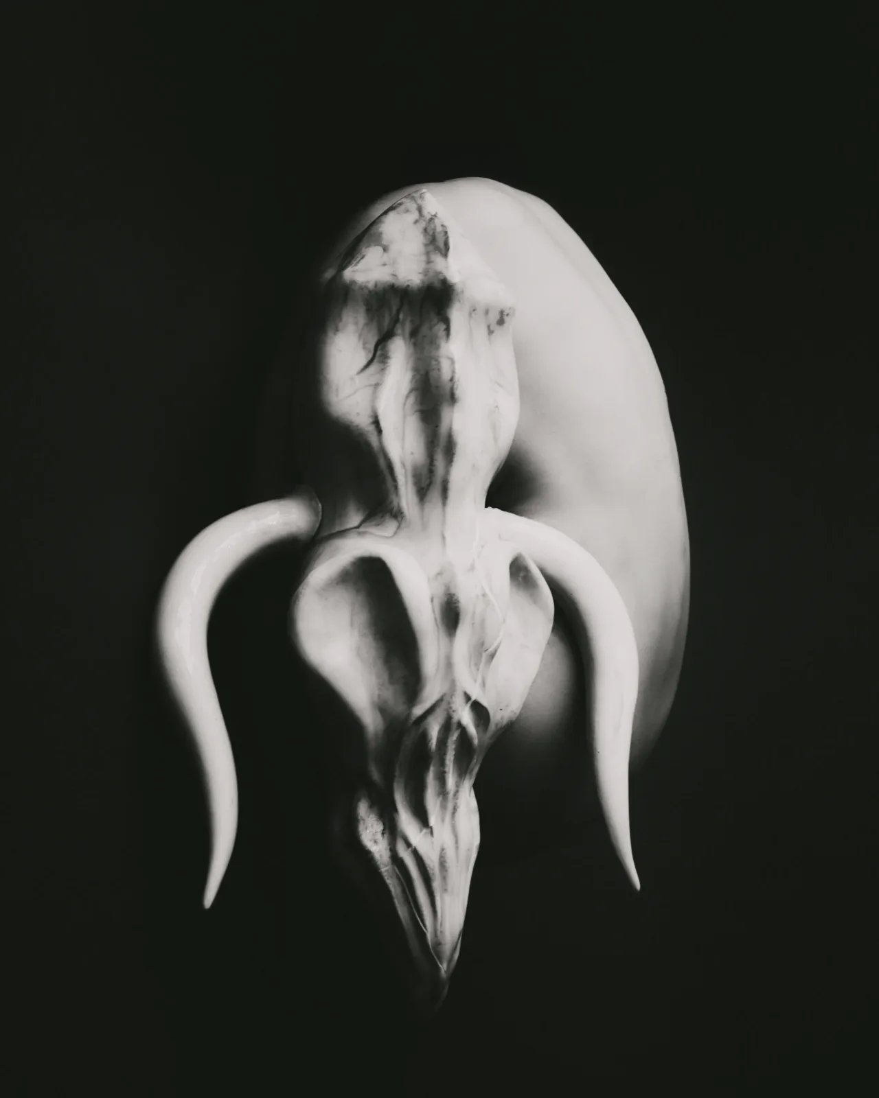 CORE — photo project