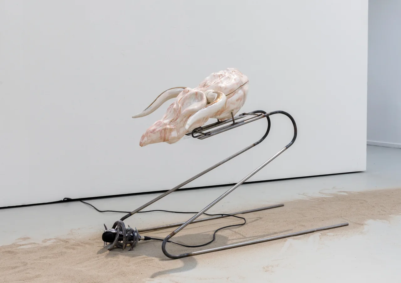 Elephant Woman: A History of Uploaded SELF ? installation view 4