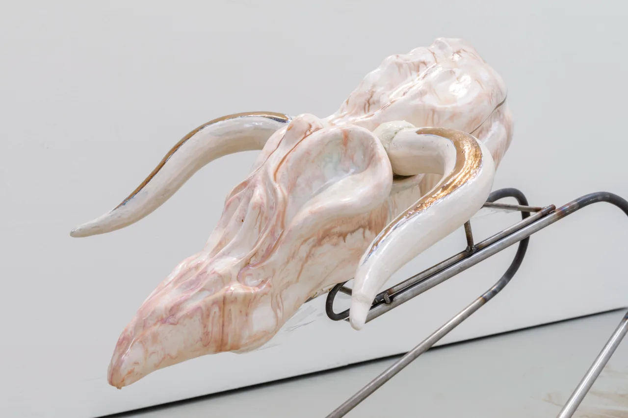 Elephant Woman: A History of Uploaded SELF ? installation view 3