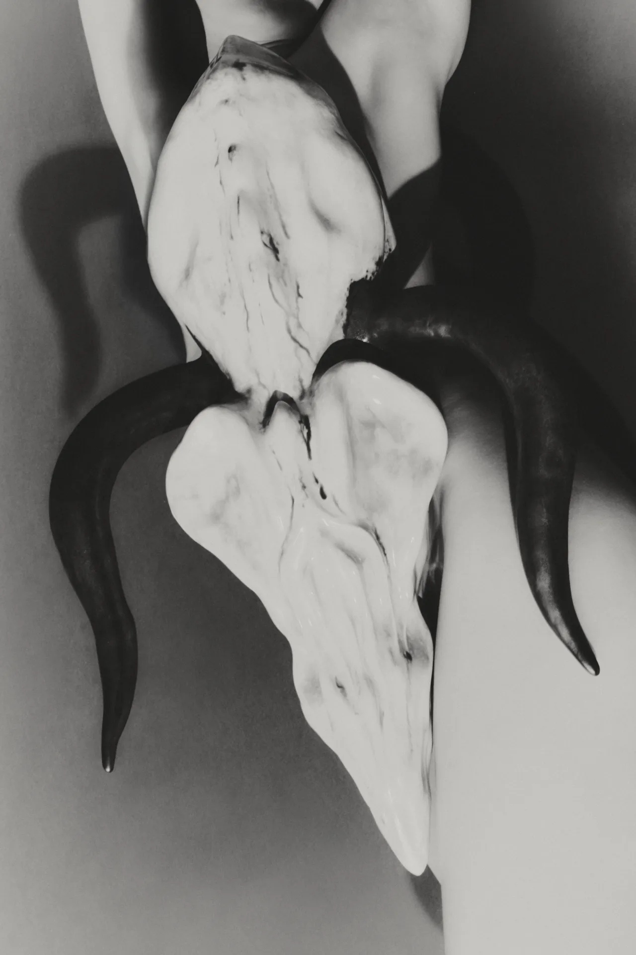 CORE — photo project