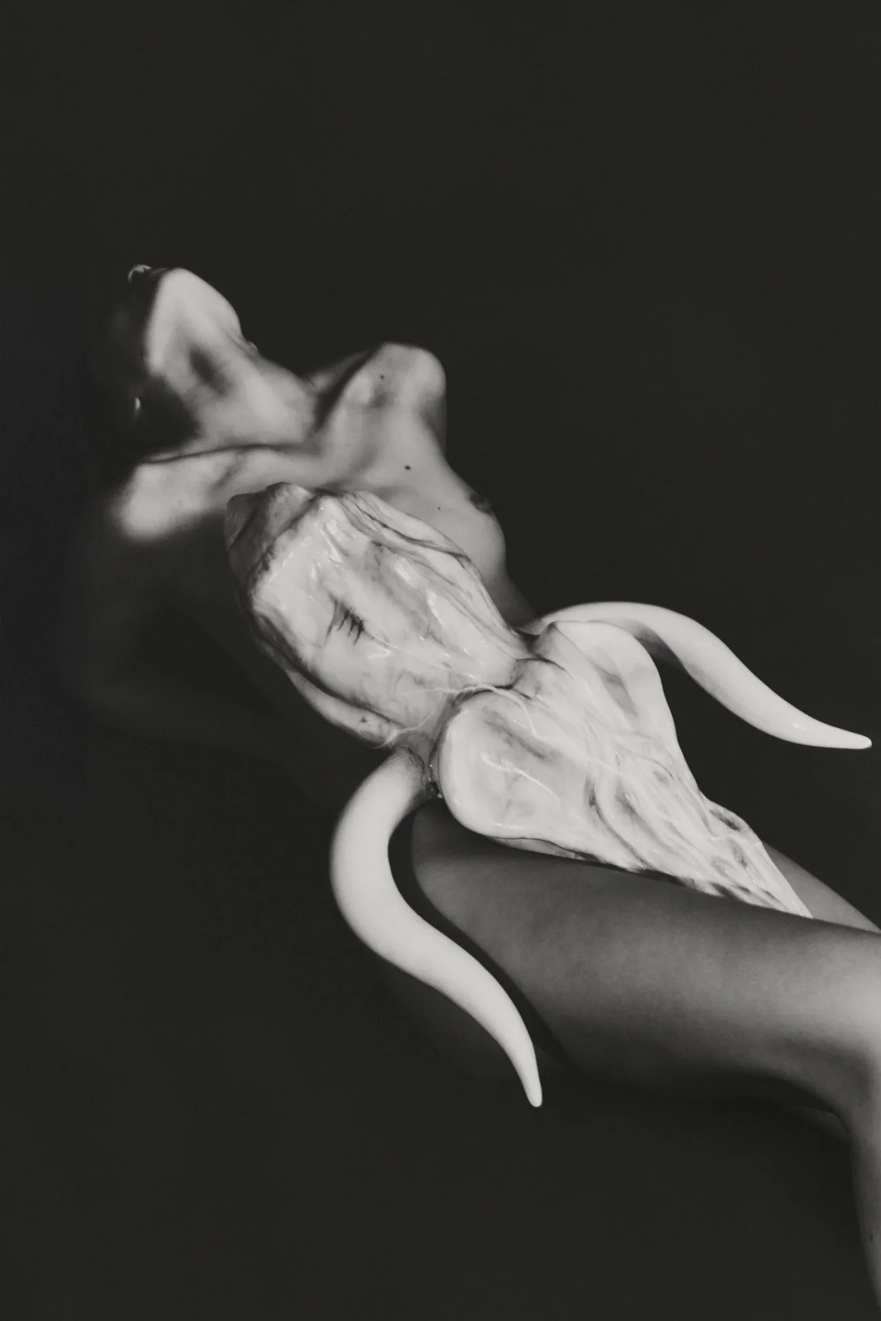 CORE — photo project
