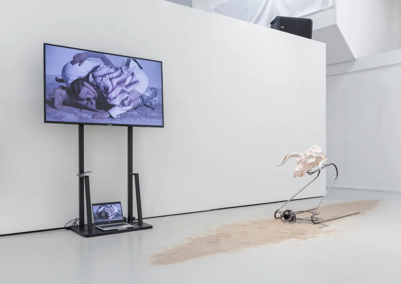 Elephant Woman installation view